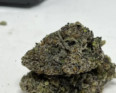CELESTIAL GELATO LSO (LIMITED SALE) - Image 6
